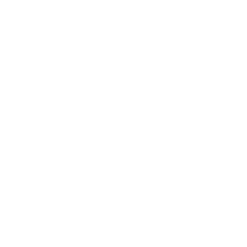 eCommerce Icon